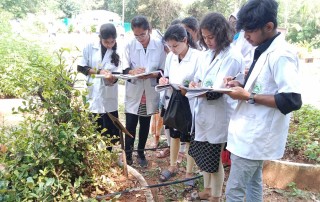 Herbal Garden Visit - Hamsa