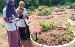 Herbal Garden Visit - Hamsa