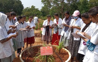 Herbal Garden Visit - Hamsa