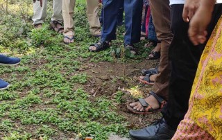 Herbal Garden Visit - Hamsa